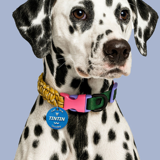 Paracord Dog Collar | Medium & Large