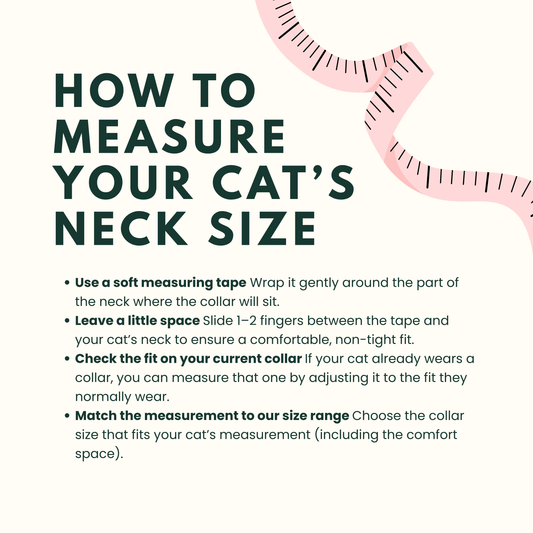 Lucky Windmill Breakaway Braided Nylon Cat Collar