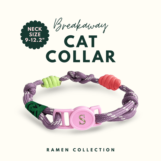 Breakaway Braided Nylon Cat Collar : Berry Soda Cat Ramen Collar