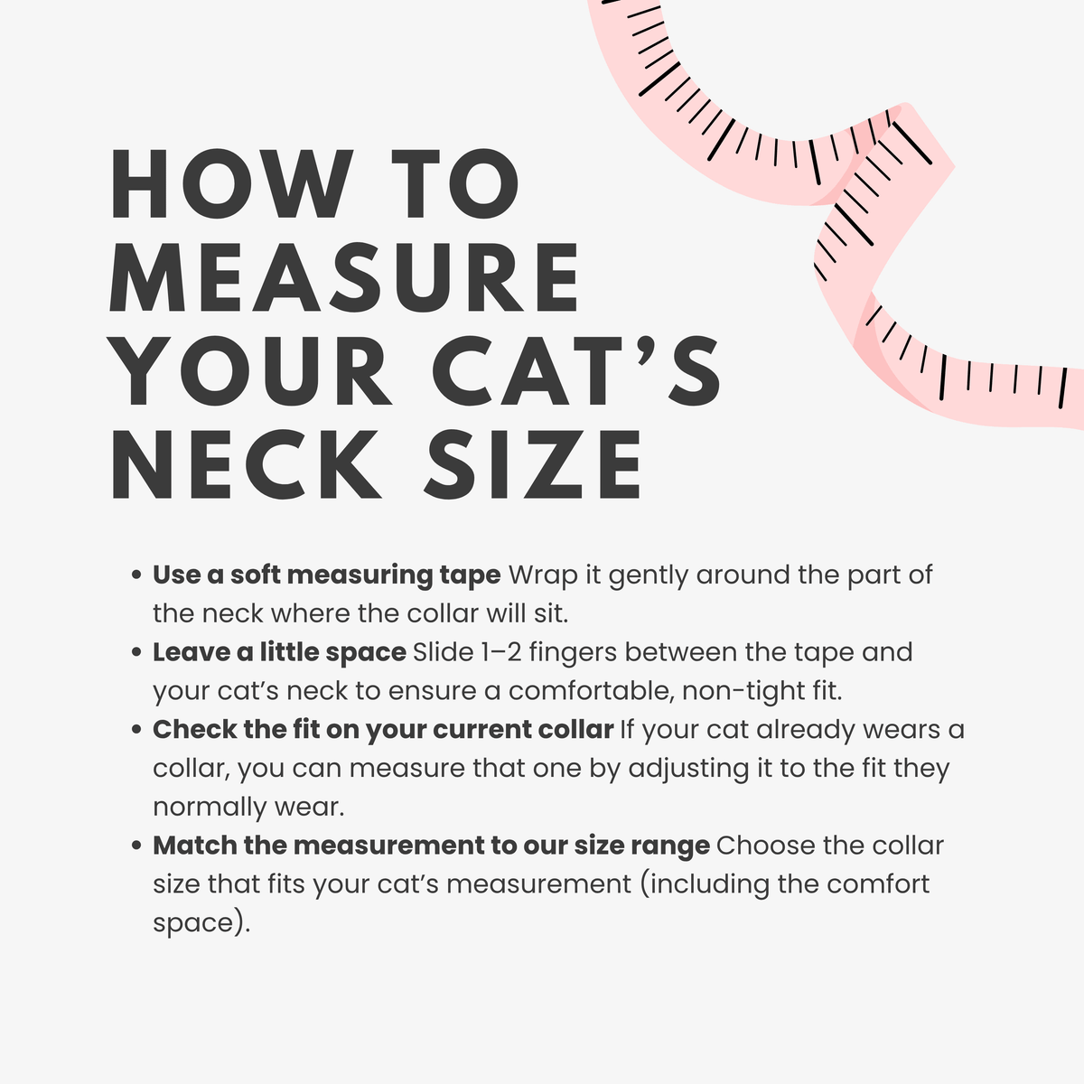 Udon Breakaway Braided Nylon Cat Collar