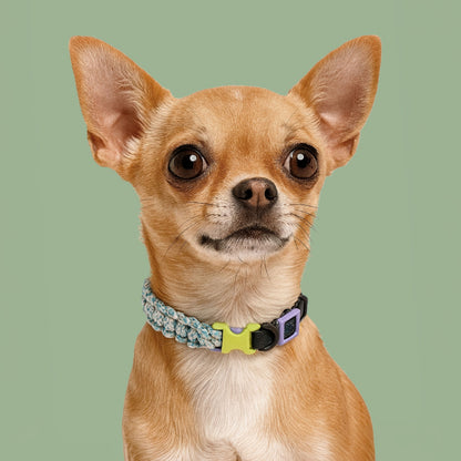 Paracord Dog Collar | Small