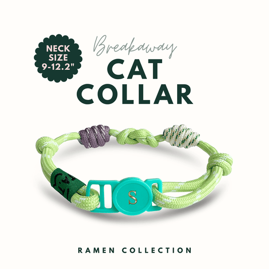 Breakaway Braided Nylon Cat Collar : Lime Lover Cat Ramen Collar