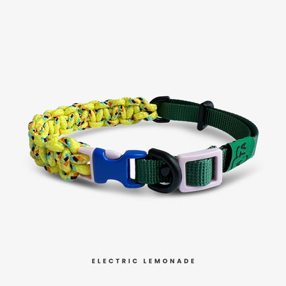 Paracord Dog Collar | Small