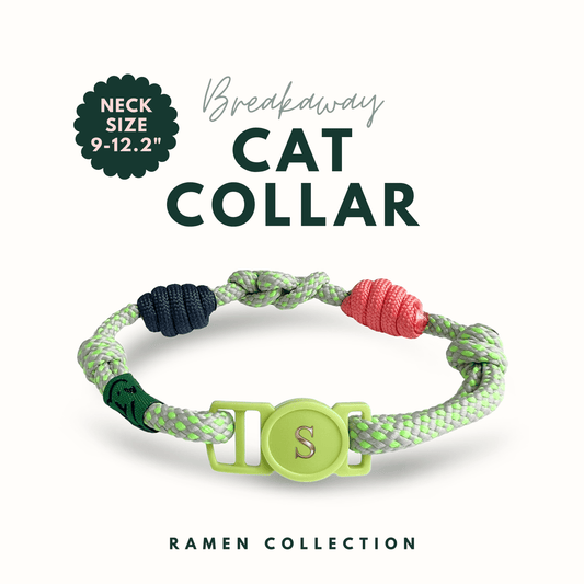 Breakaway Braided Nylon Cat Collar : Neon Play Cat Ramen Collar
