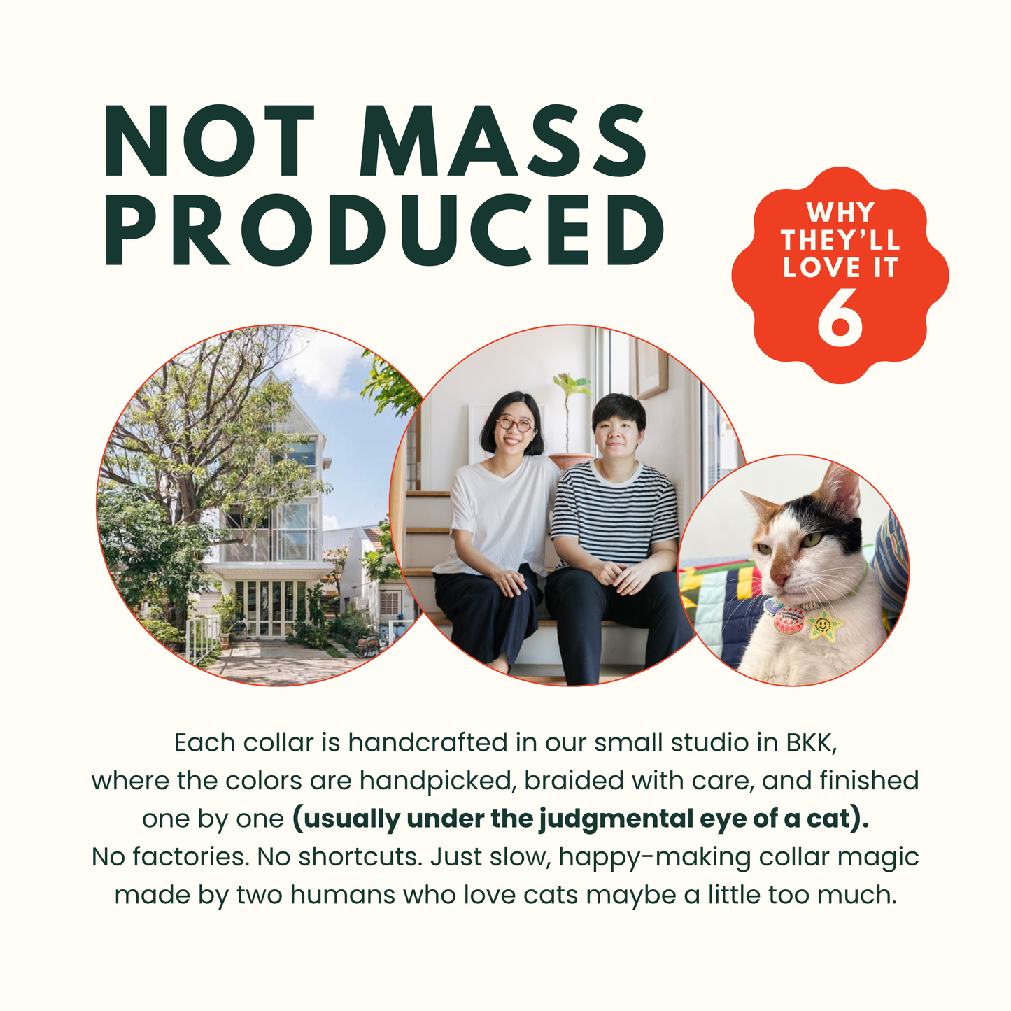 Breakaway Braided Nylon Cat Collar : Tennis Lover Cat Ramen Collar